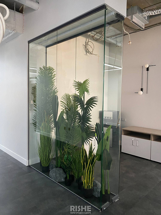 Стеклянные перегородки RISHE-S8 Twin и двери Vitero IMG_8603.jpg