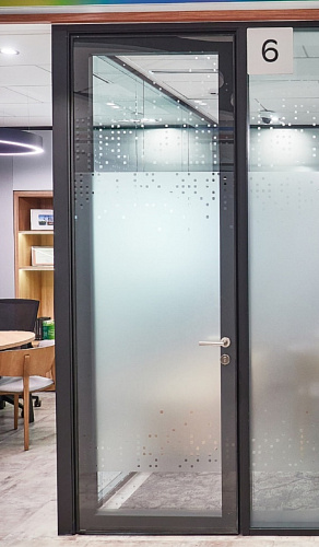 Дверь 72-93 TWIN стеклянная с доводчиком со скрытыми петлями Дверь 72-93 TWIN стеклянная с доводчиком со скрытыми петлями