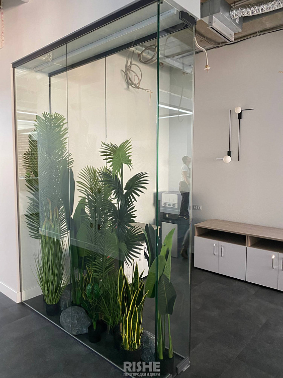 Стеклянные перегородки RISHE-S8 Twin и двери Vitero IMG_8602.jpg