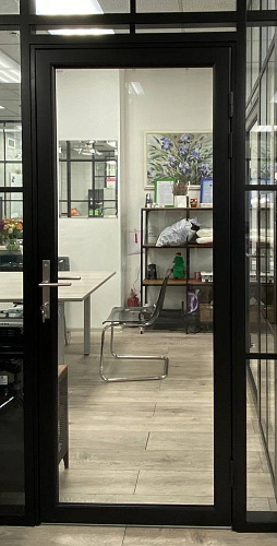 Дверь SINGLE Дверь SINGLE