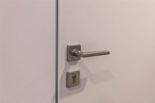 Дверь 72-93 TWIN3 глухая 900-2100 Дверь 72-93 TWIN3 глухая 900-2100